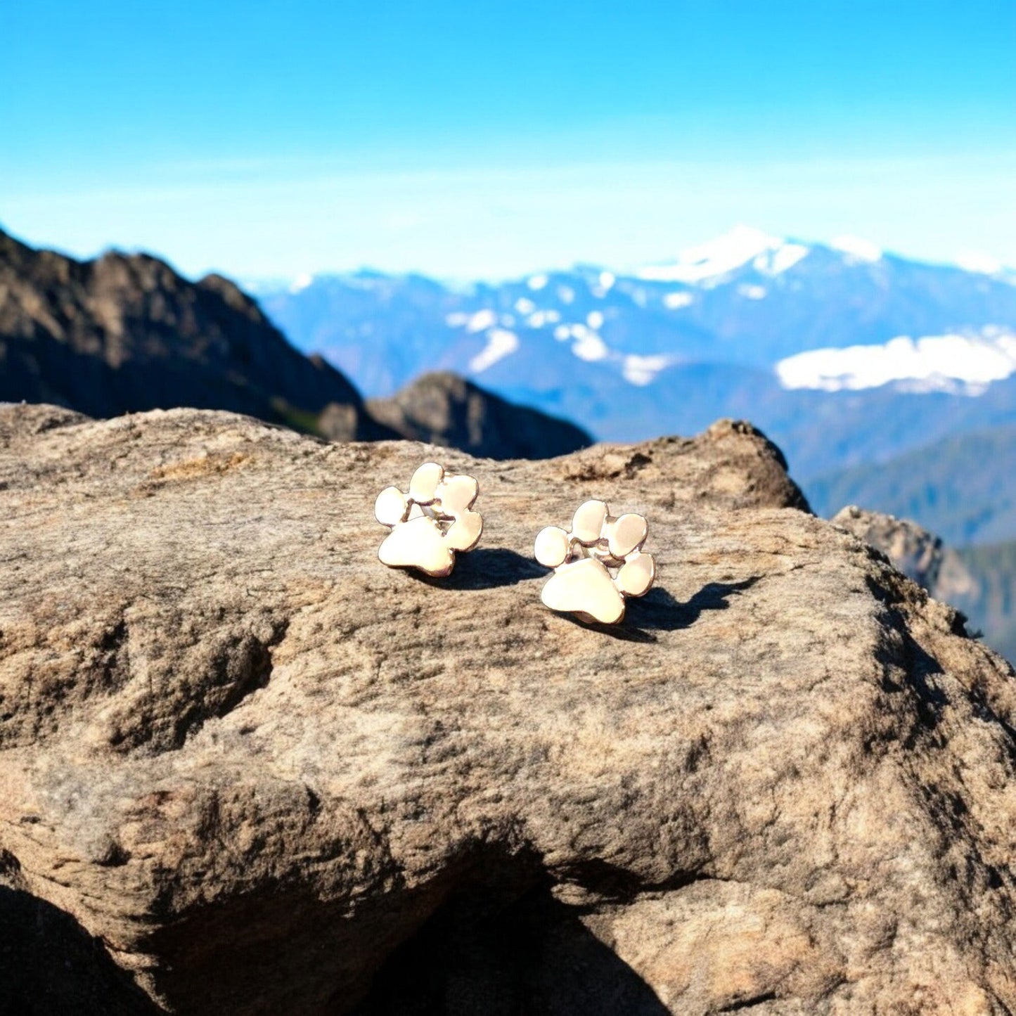 Hypoallergenic Paw Earrings