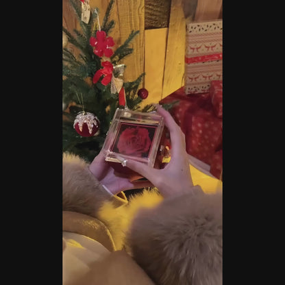 Ring Butterfly - Blue