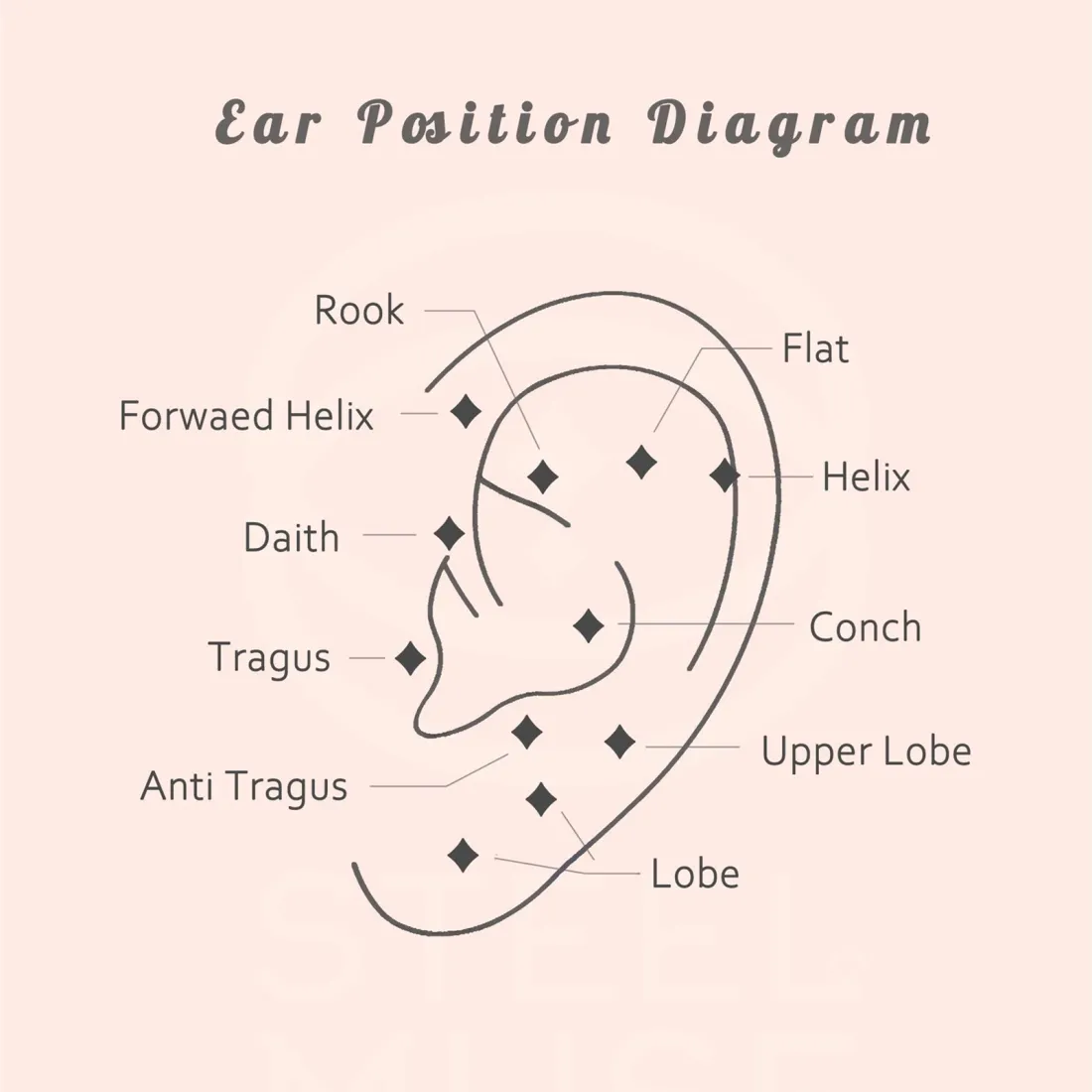 Titanium Daisy Flowers Stud Earring