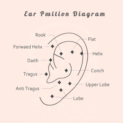 Titanium Daisy Flowers Stud Earring